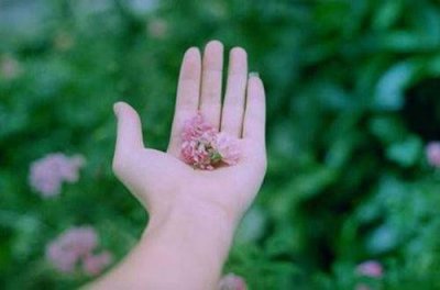 ​小的歇后语83句