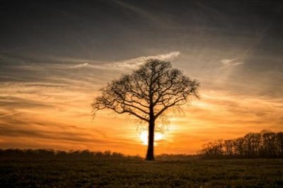 ​很精彩的歇后语85句