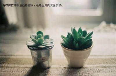 ​关于中秋的歇后语50句
