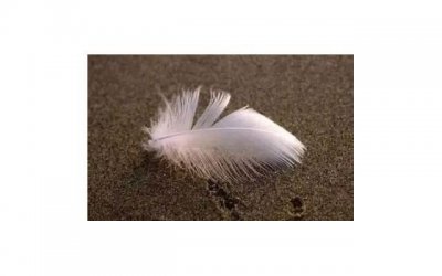 ​五一见面文案短句摘录90句