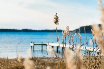 ​月亮的好词好句