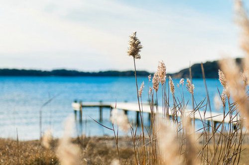 月亮的好词好句