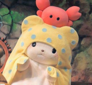 ​经典人生感悟句子96条