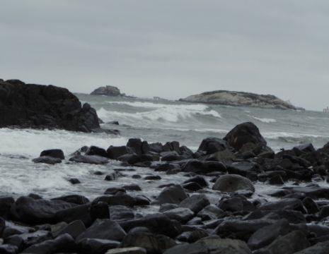 2022年经典人生感悟的好句集锦90条