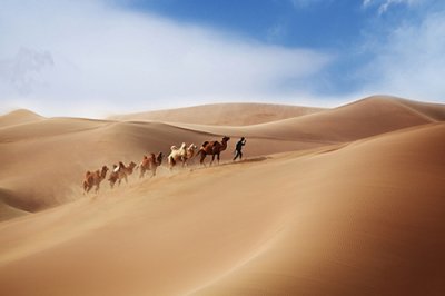 ​家庭的句子经典语录84句