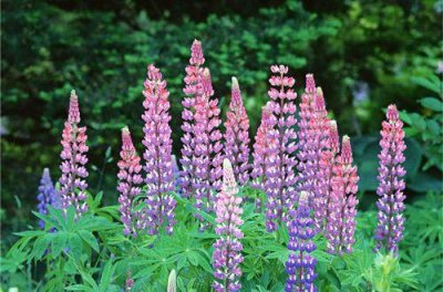 ​最经典的人生正能量语录