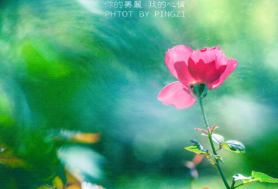 ​关于100句关于经典的人生哲理朋友圈说说合集