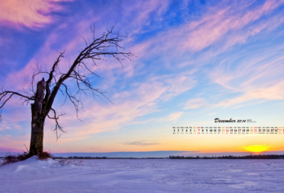 ​关于女人不靠男人靠自己说说 女人只能靠自己的句子