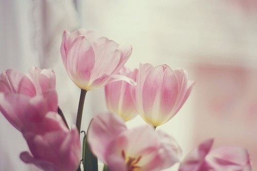 失眠朋友圈说说85句