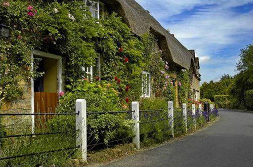 爱你想你思念你的句子