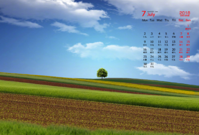 ​低调内涵暗示生日说说大全（精选50句）