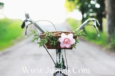 ​给女朋友说早安的情话句子大全(对女友说早安的暖心的短句)