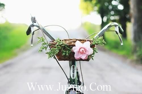 给女朋友说早安的情话句子大全(对女友说早安的暖心的短句)