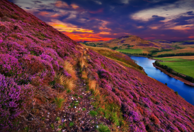 ​关于委屈心酸的说说想哭 伤感的说说看了想哭