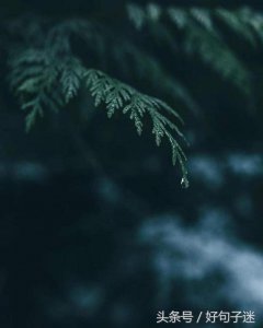 ​静心的句子经典语录（佛经中关于静心的句子，修心养性，不点进来是你的损失！