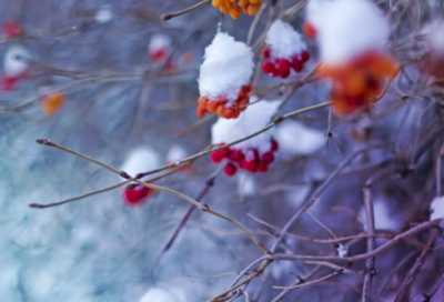 ​情侣说说短句暖心语（精选推荐）