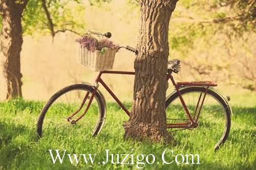 生日发表感言生日过后的经典感言(精选24句)