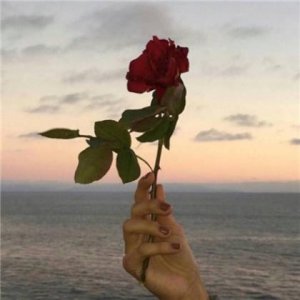 ​说到心坎的说说（说到你心坎上）