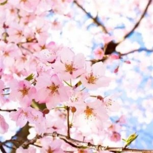 ​简短有气质的说说 适合各种心情的句子