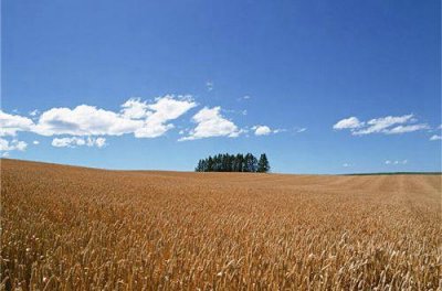 ​关于抽烟的感情文案 抽烟的文案发朋友圈(37句)