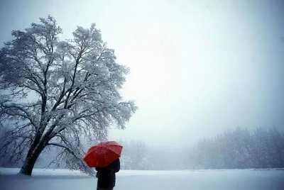 ​时光太匆匆的经典句子（关于时光流逝的优美句子）