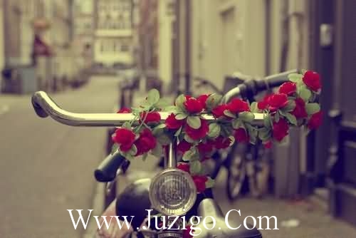 星星比喻句22句