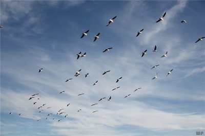 ​感悟人生的句子 ，深刻透彻，简直太经典了