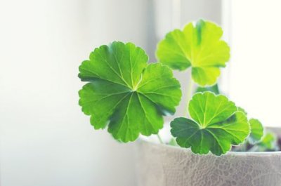 ​12星座经典语录12句