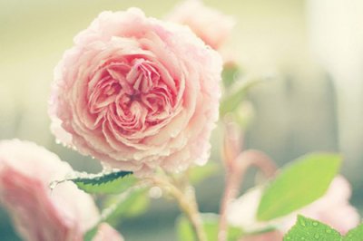 ​庆余年经典语录21句