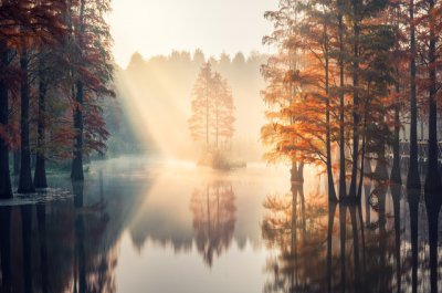 ​比尔盖茨金句子 比尔盖茨最牛的一句话