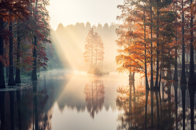 比尔盖茨金句子 比尔盖茨最牛的一句话