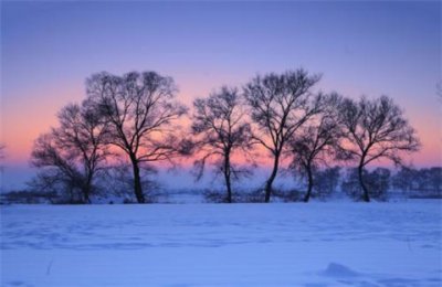 ​雨天幽默正能量的句子