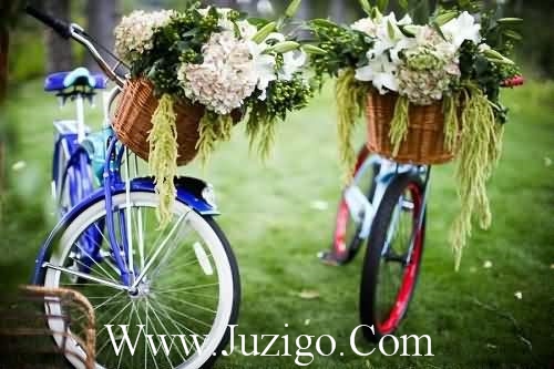 早上问候语温馨简短 早上好问候语正能量(精选28句)