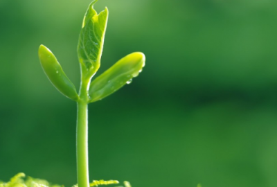 ​致自己的励志说说 有关做兼职的励志语句