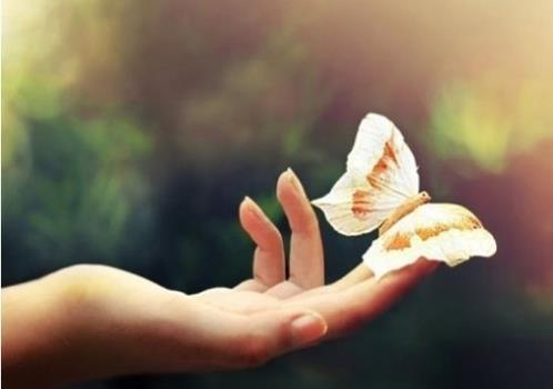 青春文艺古风励志句子(经典八字古风短句)