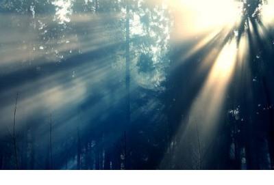 三分钟简短励志小故事