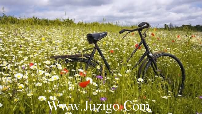 励志短句霸气十足团队励志短句霸气十足(精选35句)