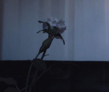 ​表示时间过得快的谚语16句