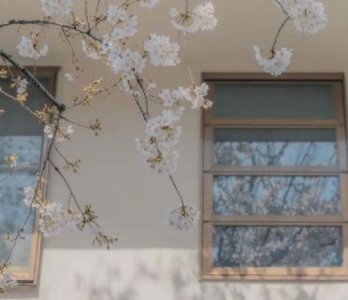 ​炎热的谚语15句