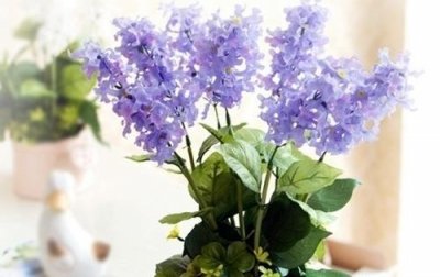 ​时间过得非常快谚语12句