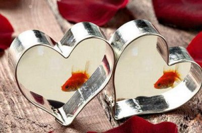 ​语文水果谚语16句