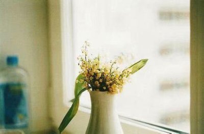 ​关于优秀的谚语85句