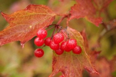 ​与写作有关的谚语76句