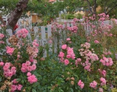 ​与农时及气象有关的农业谚语62句