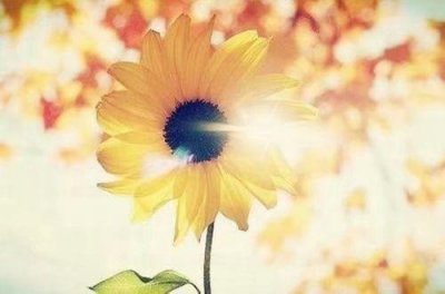 ​关于冬至的民间谚语 冬至俗谚语大全(精选51句)