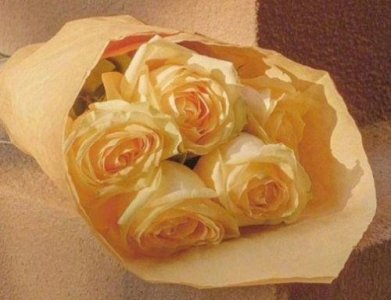 ​和思想有关的谚语63句