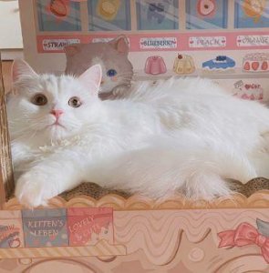 ​礼貌待人的谚语或格言