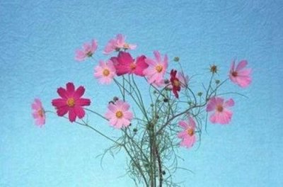 ​关于真诚待人的谚语16句