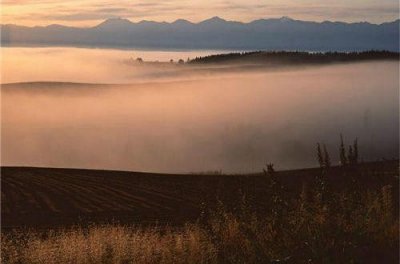 ​急的谚语17句