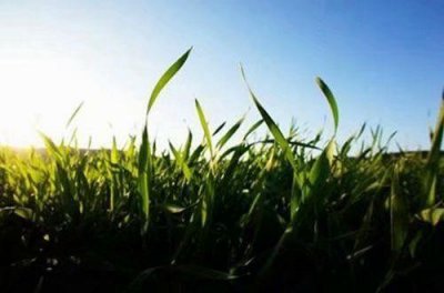 ​真诚待人的谚语16句